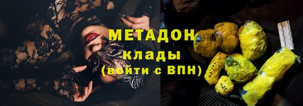 сатива Великий Новгород