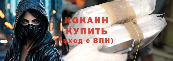 гидра Горняк