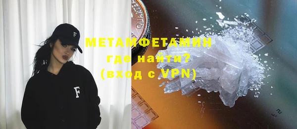 гидра Горняк