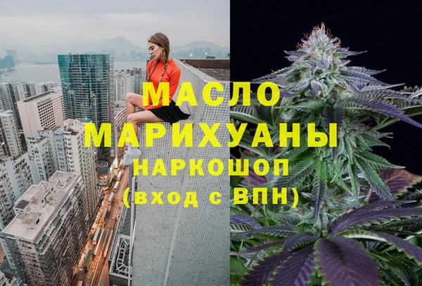 гидра Горняк