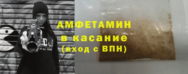 гидра Горняк