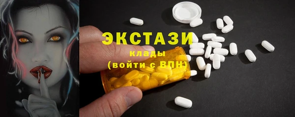 гидра Горняк