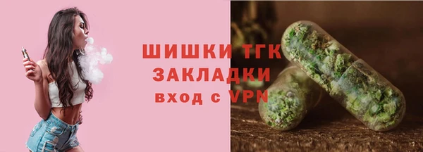 гидра Горняк