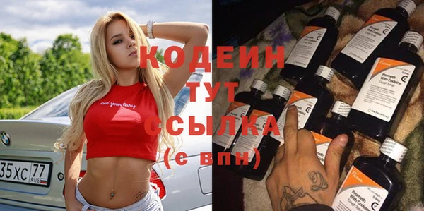 гидра Горняк