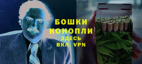 гидра Горняк